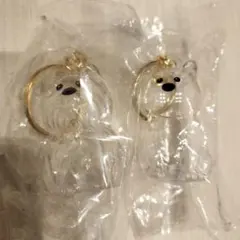 うちの子のけだまだま　犬のけだまだま　ヨークシャテリア　柴犬