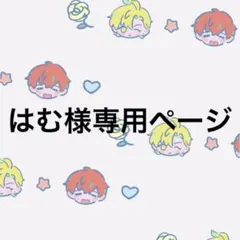 はむ※購入時プロフ一読願います様専用ページ