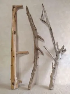 DIY・パルダリウム・止まり木向け 枝分かれ流木3本セット（約60〜65cm）