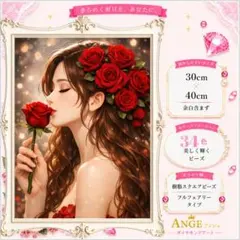 かぜ様リクエスト 樹脂 フルフェアリー ダイヤモンドアート 30cmx40cm かぜ様リクエスト 樹脂 フルフェアリー ダイヤモンドアート 30cmx40cm