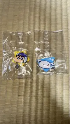 セイムチャン コレクター aoshima-bk_11180