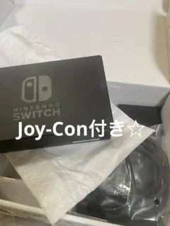 Nintendo switch周辺機器（外箱は付きません）