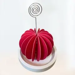 新品未使用 ヒーリングギア 可愛い保湿 ディフューザー 写真立て アロマ 韓国