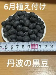 ぽんこ様 リクエスト 2点 まとめ商品