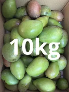 大20kg沖縄県産 摘果マンゴー(お漬物用）60g～日々肥大 - メルカリ