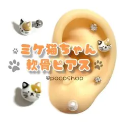 Item thumbnail for item 722acc32-843d-43df-8342-235ce9cdd1b3