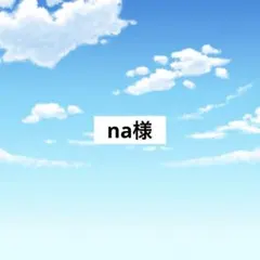 アメステna様