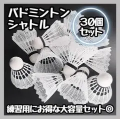 Item thumbnail for item e852935a-4579-4994-ae24-45708886b9cc