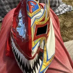 2026年最新】プロレス マスク ドラゴンリーの人気アイテム - メルカリ