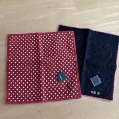 Item thumbnail for item cffc3447-3dfe-49a7-a864-66c7d09f5e68