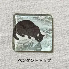 ひまうい様 No.817 他 ポニーフック キーホルダー ヘアゴム 計10点