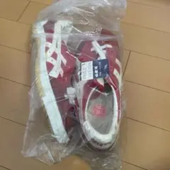 Item thumbnail for item 478a2092-db47-44da-b2be-f42f10c38daa