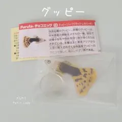 チョコエッグ グッピー ハーフブラック・レオパード 熱帯魚