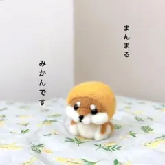 柴犬　みかん　　ハンドメイド　羊毛フェルト　ぬいぐるみ