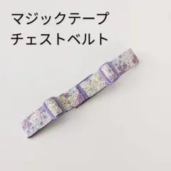 Item thumbnail for item 7a9b4777-2901-4043-9375-6b4043874110