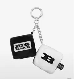 BIGBANG 展示会 COSMOS 公式グッズ CAPキーリング グレー - メルカリ