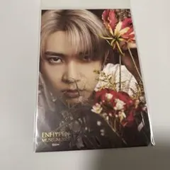 ENHYPEN エナプ　HEESEUNG ヒスン　ポスカ