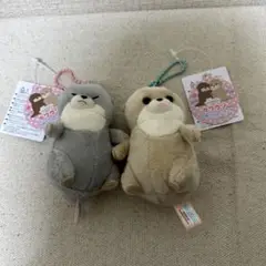 カワウソの赤ちゃんハグハグ