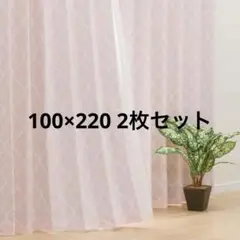 ニトリ 裏地付き遮光2級・遮熱カーテン パターン2 ローズ 100×220 2枚