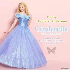 2025年最新】実写シンデレラ シークレットハニーの人気アイテム