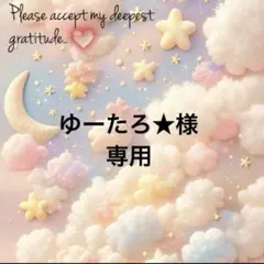 ゆーたろ★様専用