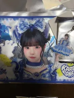 MEGALiFE! 空詩かれん クリアポスター 缶バッジセット - メルカリ