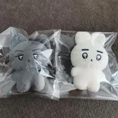 boys planet ALD1 サンウォン 10cm ぬいぐるみ 상몽몽 - メルカリ