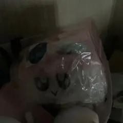 ボンボンイ　ぬいぐるみ　ペンライト　カバー　セブチ　seventeen