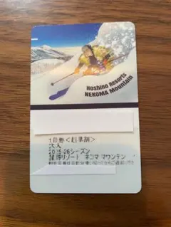 2026年最新】ネコママウンテン リフト券の人気アイテム - メルカリ