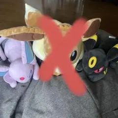 ポケモン ぬいぐるみ イーブイ エーフィ ブラッキー ブイズまとめ売り