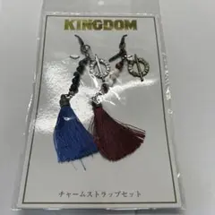 映画 キングダム KINGDOM チャームストラップセットのサムネイル