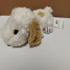 アンディ FLUFFY フワクタ　ぬいぐるみ　限定　スヌーピータウンショップ