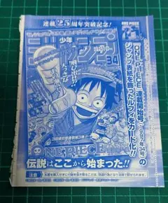 ONE PIECE カードゲーム ジャンプ6.7合併特大号　とじ込み付録　ルフィ