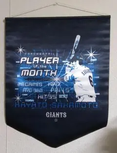 Item thumbnail for item 9463b931-1496-4ee0-a547-3e7af65a374f