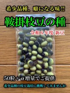 whales様 リクエスト 2点 まとめ商品