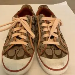 Item thumbnail for item ad7acd4c-2883-4ddf-b392-0bb88d81244a