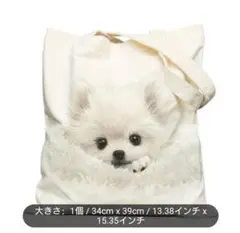 超レア【未開封】スピッツ　トートバッグなど 楽天市場】SPITZ スピッツ,NOW！ 〜ロック大陸の物語展〜 2024