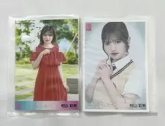 Item thumbnail for item 8e98988d-4668-4d4e-8916-7e8044421752