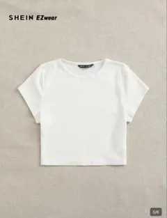 SHEIN ミニT ピチT へそ出し