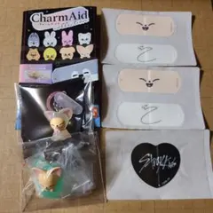 Stray Kids アイエン I.N フォクシニー グッズ まとめ売り