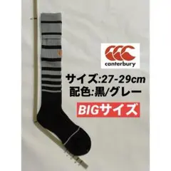 Item thumbnail for item 8119d629-7e00-4a92-8ca6-23f2facbfe22