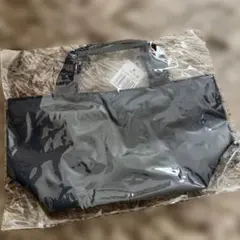 Item thumbnail for item 6b4e56e0-b853-4845-b4f7-a1f7f9d610ca