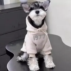 Item thumbnail for item 1540066b-d716-40a9-91ac-0edabce655a1