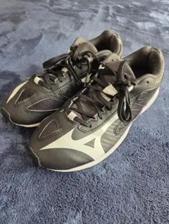 Mizuno スピードマッハ2 　22.5センチ