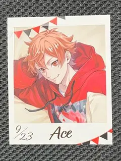 くつろぎマイルーム エース