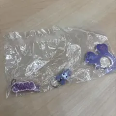 TWICE LOVELYS アクリルカラビナフロッキーマスコット　サナ