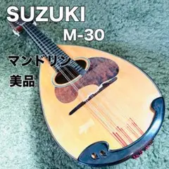 ★良品★ SUZUKI マンドリン M-20ハードケース付！ 2025年最新】suzuki m-20 マンドリンの人気アイテム - メルカリ