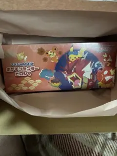 【新品未開封】ポケモンセンターヒロシマ　スペシャルボックス