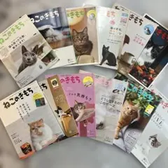 Item thumbnail for item 40793ddf-1df9-4904-afaa-357ce819a3be