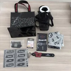 straykids アイドル